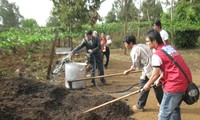 Sinh viên giúp dân trồng cà phê