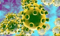 Virus corona có thể tồn tại ngoài môi trường trong bao lâu?