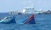Mỹ bày tỏ quan ngại vụ tàu Trung Quốc đâm chìm tàu cá Việt Nam ở Hoàng Sa