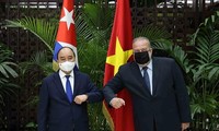 Chủ tịch nước Nguyễn Xuân Phúc hội kiến với Thủ tướng Cuba Manuel Marrero Cruz. (Ảnh: TTXVN)
