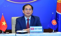 Bộ trưởng Ngoại giao Bùi Thanh Sơn dự hội nghị trực tuyến của ASEAN và G7. (Ảnh: Mofa)