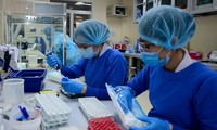 TPHCM rà soát toàn diện việc mua sinh phẩm xét nghiệm SARS-CoV-2 của công ty Việt Á