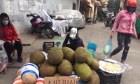 Lạng Sơn: Xót xa cảnh trái cây xuất khẩu &apos;quay đầu&apos; rớt giá