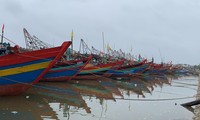 Sáng 14/10, bão số 8 vào vùng biển từ Nam Định đến Quảng Bình, gió giật cấp 10
