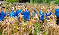 Một mùa hè xanh đầy ý nghĩa của CLB Sinh viên tình nguyện Đại học Thái Nguyên