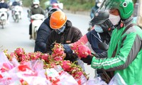 Xe hoa quả bị ùn ứ nơi biên giới quay đầu về Hà Nội chờ giải cứu