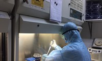 Xét nghiệm mẫu bệnh phẩm tại Viện Pastuer TPHCM