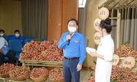 Bí thư thứ nhất Trung ương Đoàn Nguyễn Anh Tuấn tại buổi livestream.