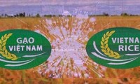  Phê bình Cục Chế biến và phát triển nông sản vì chậm tham mưu chứng nhận nhãn hiệu Gạo quốc gia