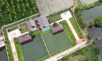 Hai căn nhà xây dựng trái phép trên đất nuôi trồng thủy sản