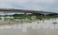 Tìm kiếm hai thanh niên nam, nữ nhảy sông Sài Gòn mất tích