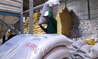 Xuất khẩu gạo 7 tháng đầu năm giảm 12,7% về lượng và giảm 3,1% về giá trị so với cùng kỳ năm ngoái. Ảnh: Cảnh Kỳ