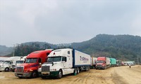 Gần 5.000 xe chở nông sản ùn ứ tại Lạng Sơn: Nỗ lực tìm giải pháp