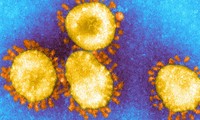 Các biến thể mới của SARS-CoV-2 có thể bị tiêu diệt bởi vắc xin COVID-19