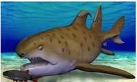 Cá mập Godzila được mô phỏng minh họa theo loài cá mập được phát hiện năm 2013.