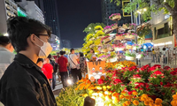 Giới trẻ nô nức đến đường hoa Nguyễn Huệ du xuân, chụp ảnh vẫn không quên đeo khẩu trang