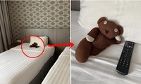 Mang theo gấu bông đi công tác, cô gái bất ngờ vì hành động của người dọn phòng khách sạn