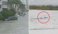 Rùng mình cảnh “cá mập bơi trên phố” trong siêu bão Ian ở Mỹ: Xác nhận video là thật 100%!