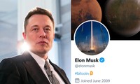 Thế giới đang “cuồng Elon”: Elon Musk cứ nhắc đến tên công ty nào, công ty đó lập tức “ăn nên làm ra”
