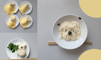 Netizen thả tim &quot;rần rần&quot; trước phong cách trang trí món ăn theo hình con vật &quot;cute lạc lối&quot;