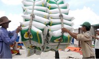 Phó Thủ tướng yêu cầu làm rõ vụ mở tờ khai xuất khẩu gạo nửa đêm của Hải quan