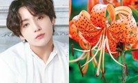 7 loài hoa tượng trưng cho các thành viên BTS, bạn đã biết hết chưa?