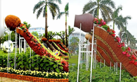 Biểu tượng hoa ngày Tết tại Quảng Nam bị dân mạng chê là “nhạy cảm” đã được chỉnh sửa