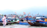 Tàu thuyền neo đậu san sát ở cảng cá lớn nhất miền Trung trước giờ bão đổ bộ