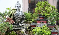 Tạo vườn tiểu cảnh tượng Phật trên sân thượng ngôi nhà ở Sài Gòn
