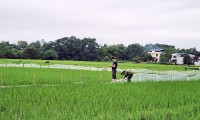 Bộ TN-MT yêu cầu Thái Nguyên báo cáo việc đất chưa ‘sạch’ đã bán đấu giá