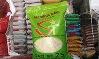 Gia đình ông Hồ Quang Cua , "cha đẻ" của giống lúa và gạo ST24, ST25 đã có đơn đề nghị hỗ trợ bảo vệ thương hiệu giống lúa và gạo ST24, ST25 tại thị trường Việt Nam.
