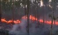 VIDEO: Hàng trăm người dập cháy rừng ở Phú Yên