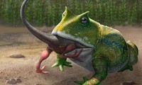 Loài ếch to nhất trong lịch sử, có thể săn cả khủng long con