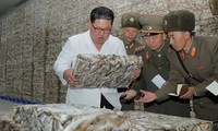Ông Kim Jong Un đang xem một tảng cá đông lạnh
