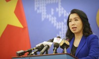 Yêu cầu Trung Quốc phối hợp giải quyết vụ chèn ép tàu cá Việt Nam ở Hoàng Sa