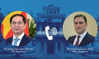 Bộ trưởng Bùi Thanh Sơn và Bộ trưởng Ngoại giao Serbia Nikola Selakovic. (Ảnh: Mofa)