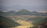 Cánh đồng lúa ở làng Kaepoong nhìn từ đài quan sát phía Hàn Quốc. (Ảnh: Reuters)