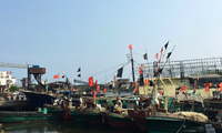 Đội tàu cá Trung Quốc ở đảo Hải Nam tháng 4/2016. (Ảnh: Reuters)