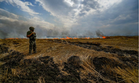 Một lính Ukraine đứng trên cánh đồng lúa mì đang cháy gần ranh giới 2 tỉnh Zaporizhzhia và Donetsk ngày 17/7. (Ảnh: Reuters) 