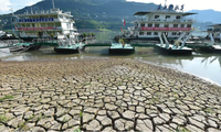 Lòng sông Trường Giang đoạn qua Trùng Khánh nứt nẻ vì khô hạn