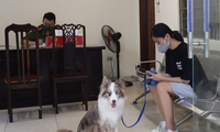 Những lý do ra đường ‘lãng xẹt’ của người bị phạt vì không tuân thủ giãn cách