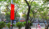 &apos;Một cảm giác bình an đến lạ&apos; giữa rừng sứ cổ thụ ngay trung tâm TPHCM