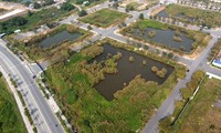Hai doanh nghiệp xin trả góp tiền trúng đấu giá đất Thủ Thiêm sẽ bị phạt 1 tỷ mỗi ngày