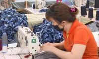 Hỗ trợ công nhân bị ngưng việc, giảm giờ làm ở Bình Dương