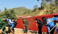 Trồng cây, gây rừng tại biên giới Ba Sơn, huyện Cao Lộc, Lạng Sơn -Ảnh: Duy Chiến 
