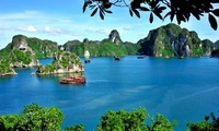 Bí ẩn Vịnh Hạ Long và loài sinh vật khổng lồ gây khiếp sợ