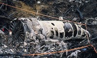 kể từ năm 1988 đến nay có hơn 200 người chết trong các vụ tai nạn máy bay liên quan tới động vật.