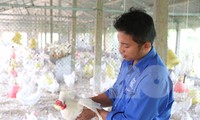 Chàng trai 8x nuôi gà siêu đẻ, mỗi năm lãi nửa tỉ đồng