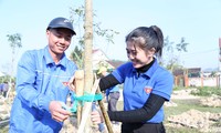 Tuổi trẻ Nghệ An trồng hơn 5.300 cây xanh hưởng ứng Tết trồng cây