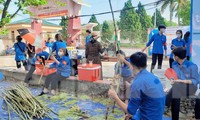 Chở cả tạ mía đến ép nước tặng thí sinh và phụ huynh